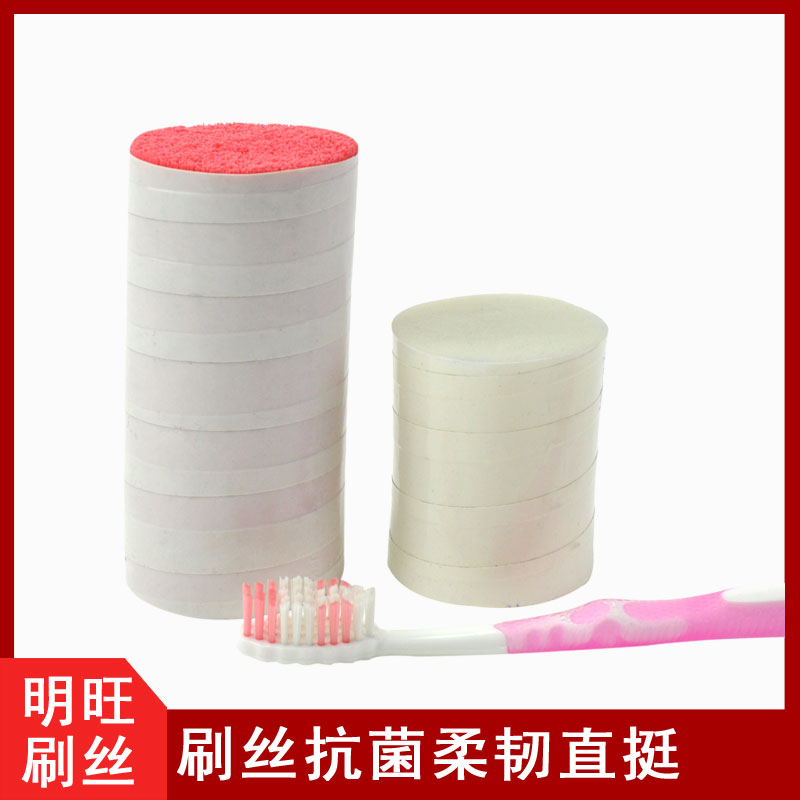 塑膠刷毛生產廠 塑膠刷毛生產廠